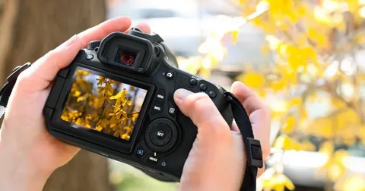 perfect-shots-every-time-discover-the-power-of-digital-cameras