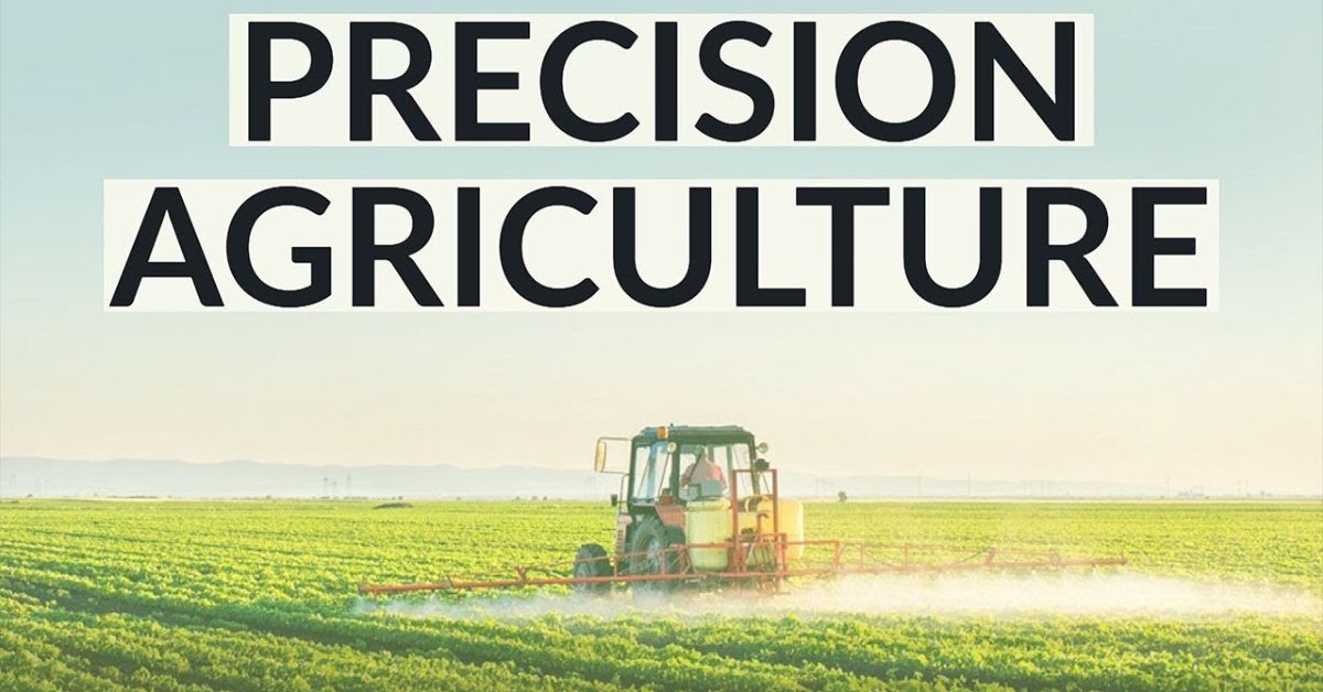 the-power-of-precision-farming